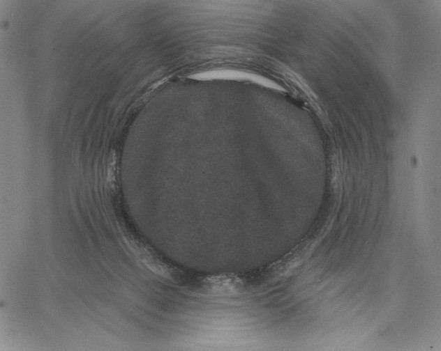 X0000066530073200604071627