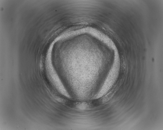 X0000066530074200604071627