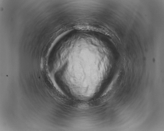 X0000066530075200604071627