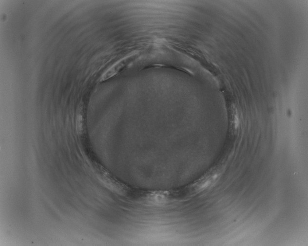 X0000066530080200604071627