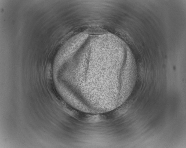 X0000066530083200604071627