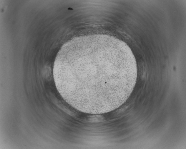 X0000066530087200604071627