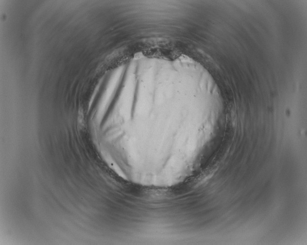 X0000066530089200604071628