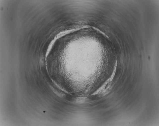 X0000066530090200604071628