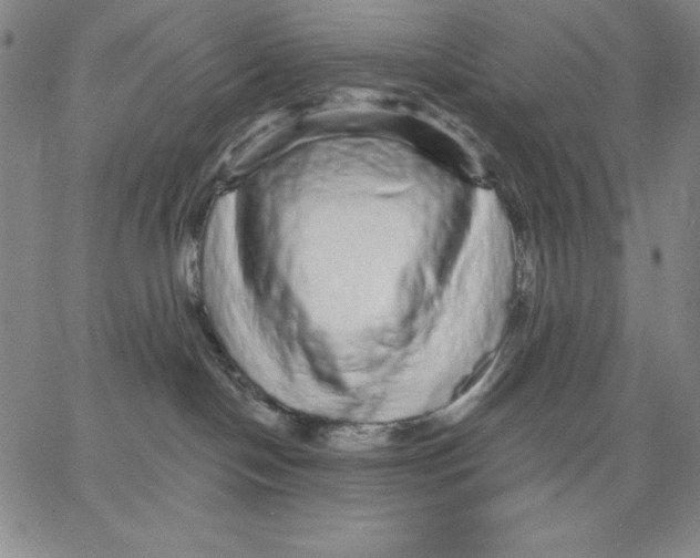 X0000066530094200604071628