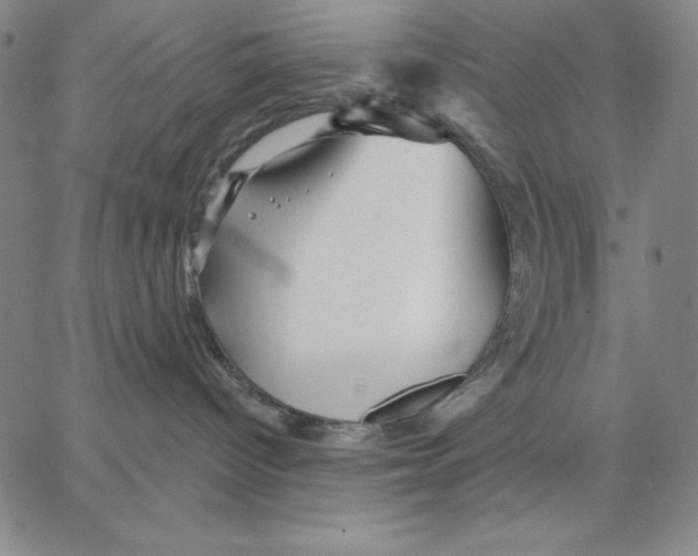 X0000066530096200604071628