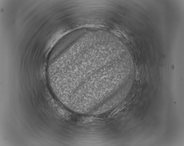 X0000066530098200604071627