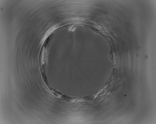 X0000066530099200604071627