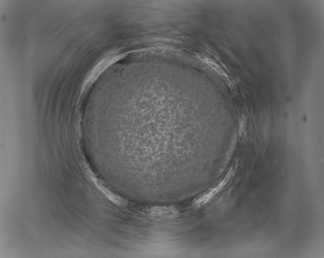 X0000066530101200604071627