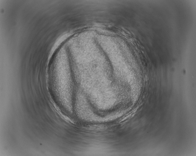 X0000066530102200604071627