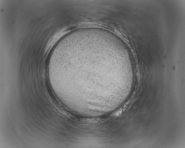 X0000066530103200604071627