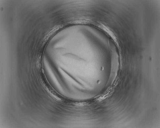 X0000066530105200604071627