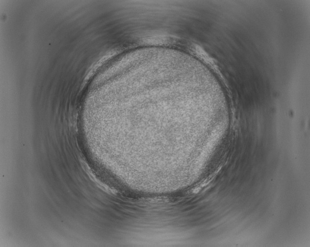 X0000066530106200604071627