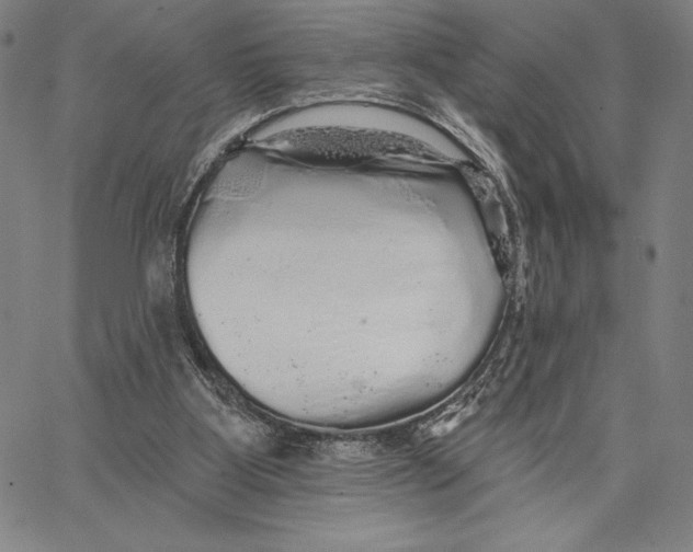 X0000066530107200604071627