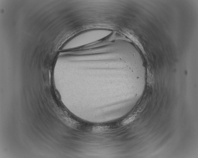 X0000066530109200604071627