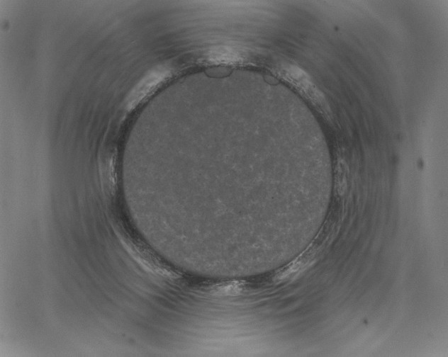 X0000066530116200604071627