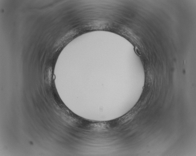 X0000066530118200604071627