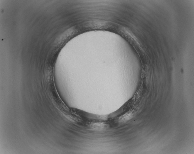 X0000066530119200604071626