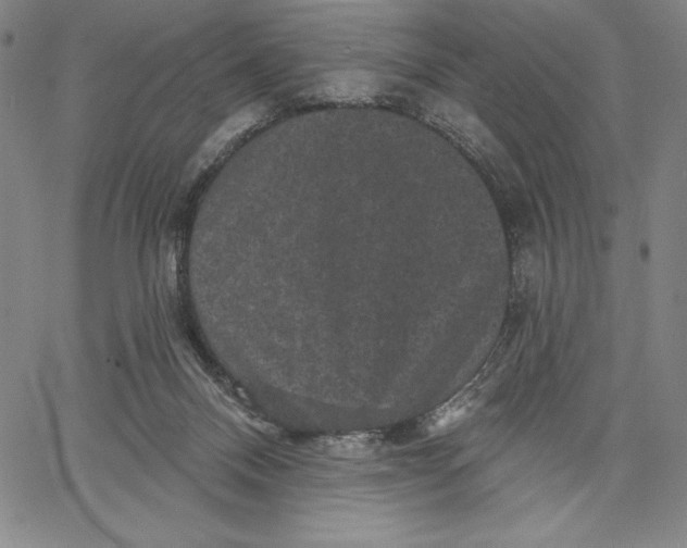 X0000066530120200604071626