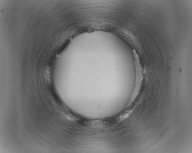 X0000066530121200604071626