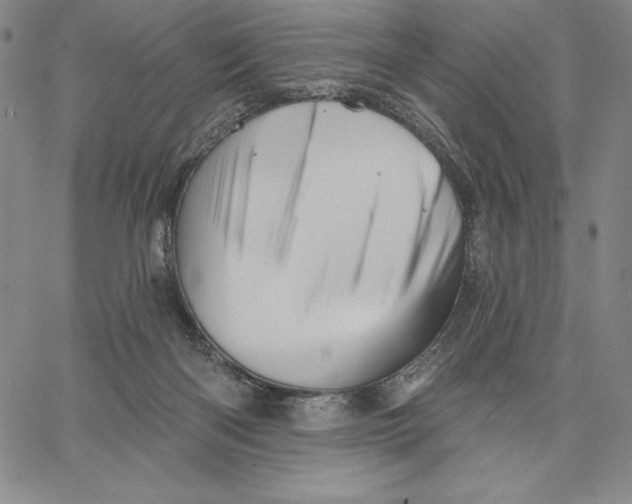 X0000066530122200604071626