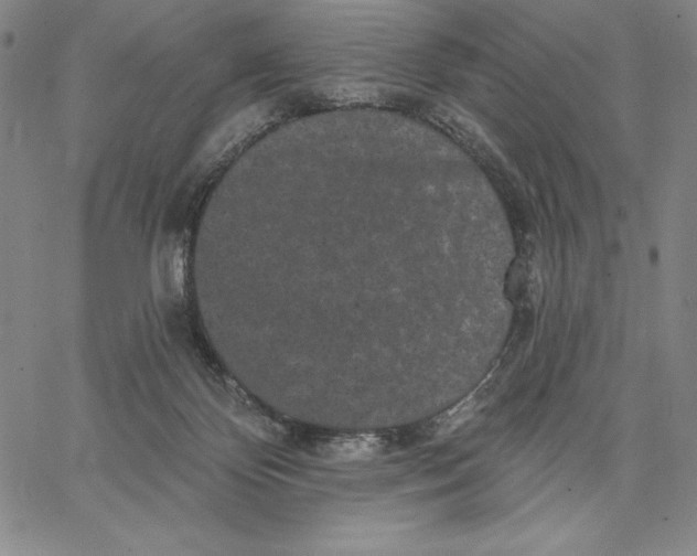 X0000066530124200604071626