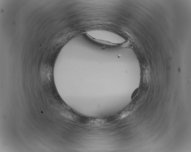 X0000066530125200604071626