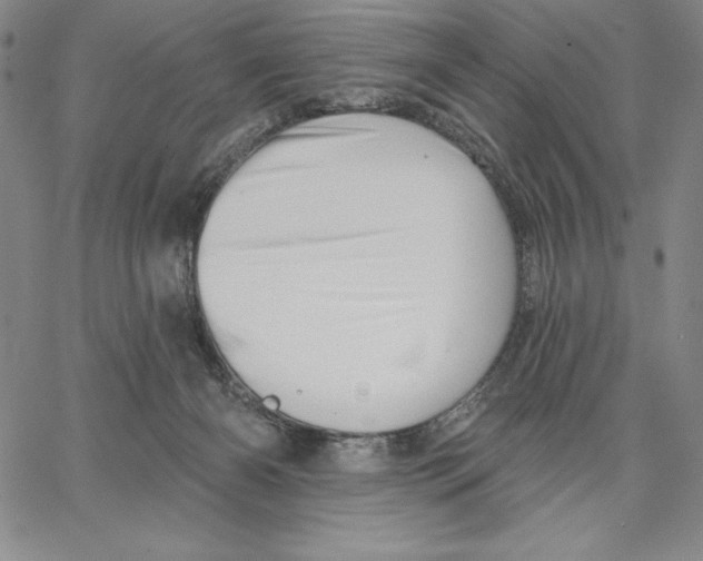 X0000066530126200604071626