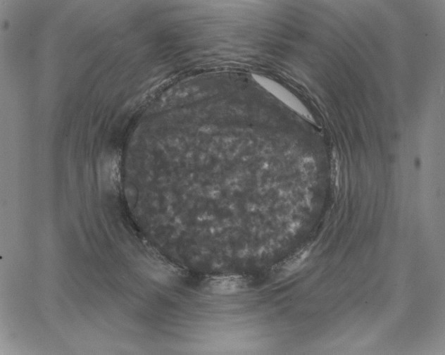 X0000066530127200604071626