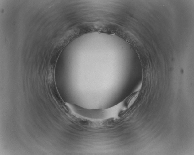 X0000066530129200604071626