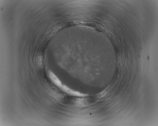 X0000066530130200604071626