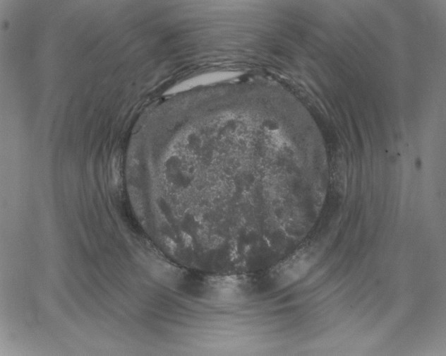 X0000066530131200604071626