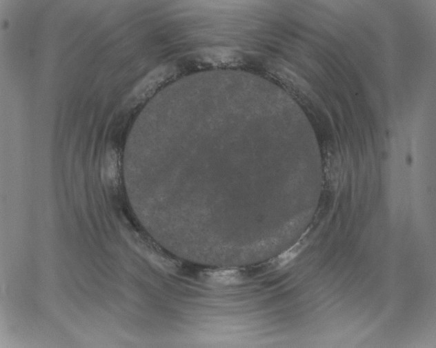 X0000066530132200604071626