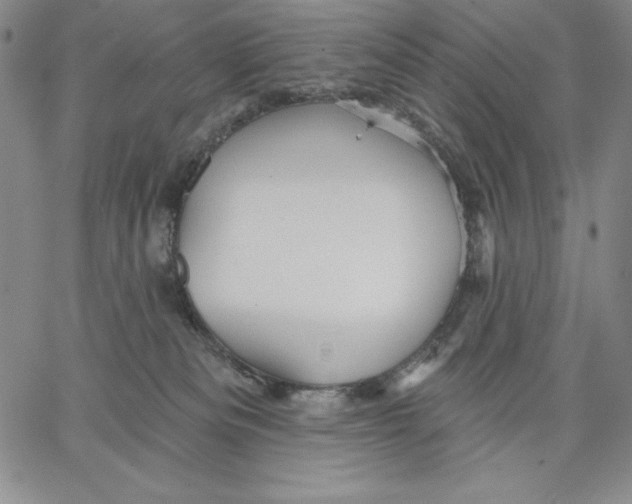 X0000066530133200604071626