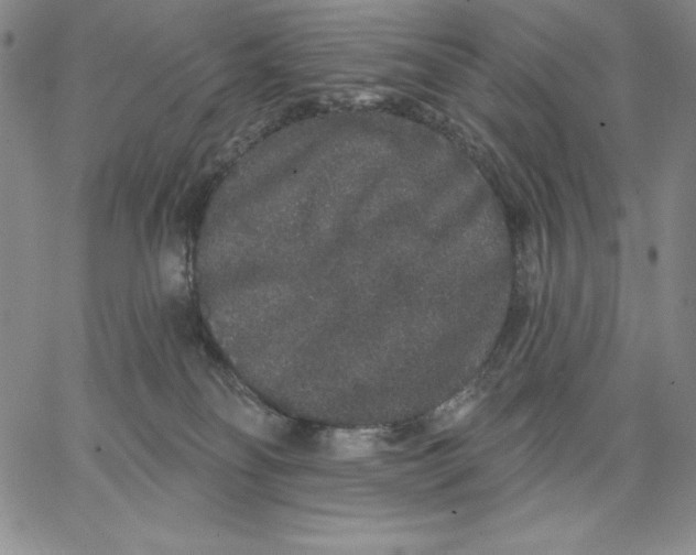 X0000066530134200604071626