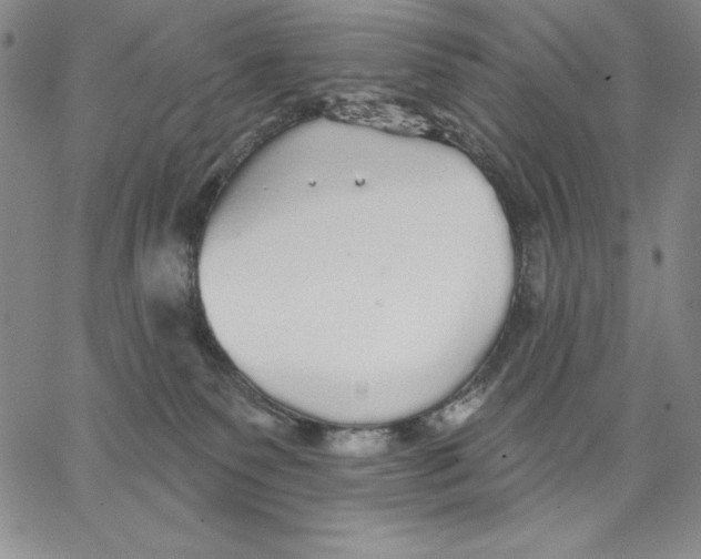 X0000066530135200604071626