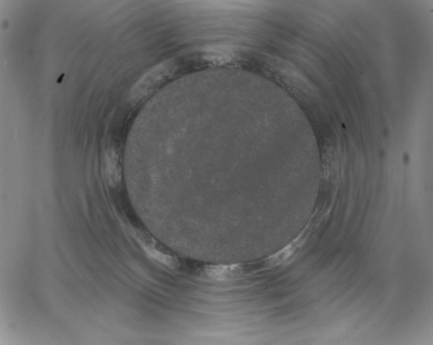 X0000066530136200604071626