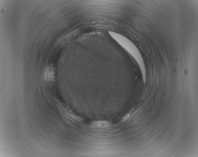 X0000066530137200604071626