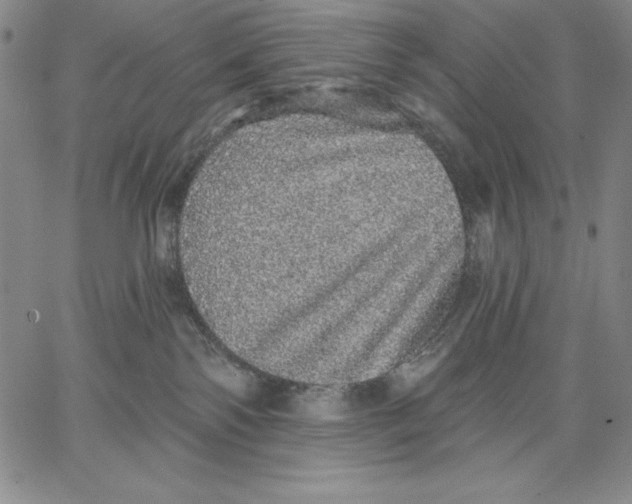 X0000066530138200604071626