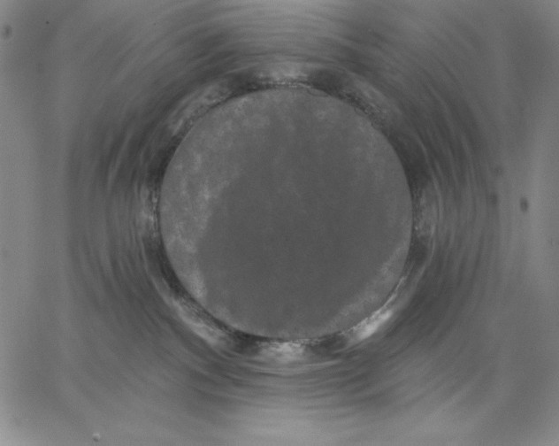 X0000066530140200604071626