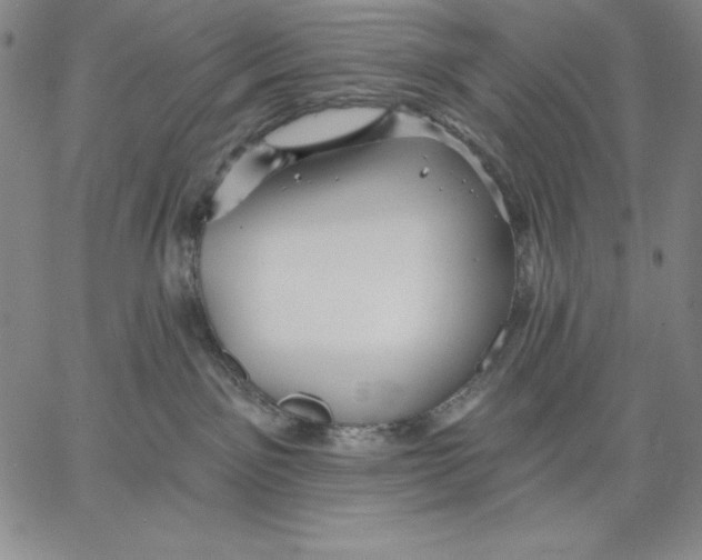 X0000066530141200604071626