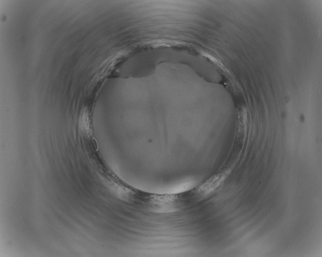 X0000066530143200604071626