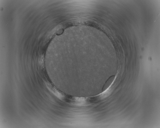 X0000066530144200604071626