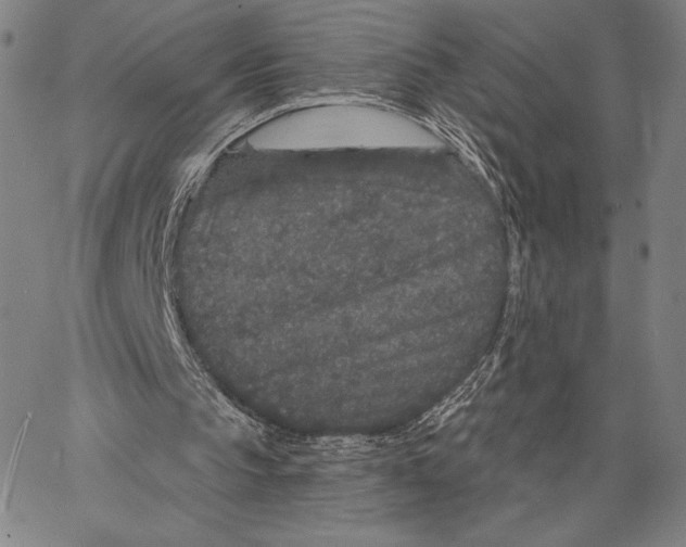 X0000066530145200604071625