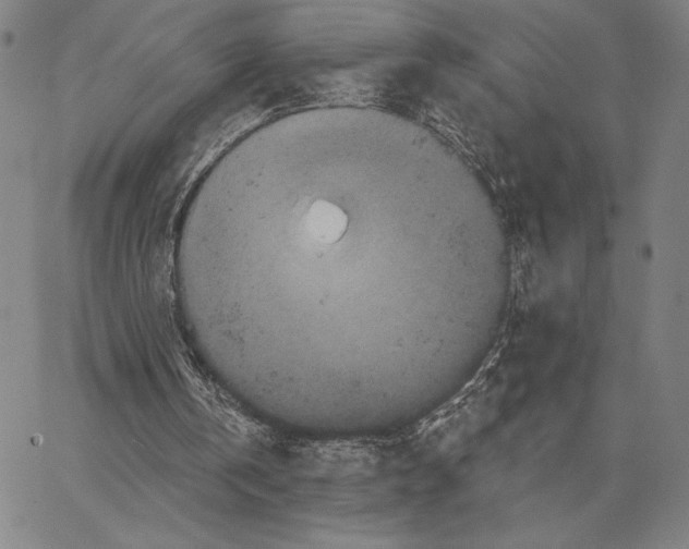 X0000066530146200604071625