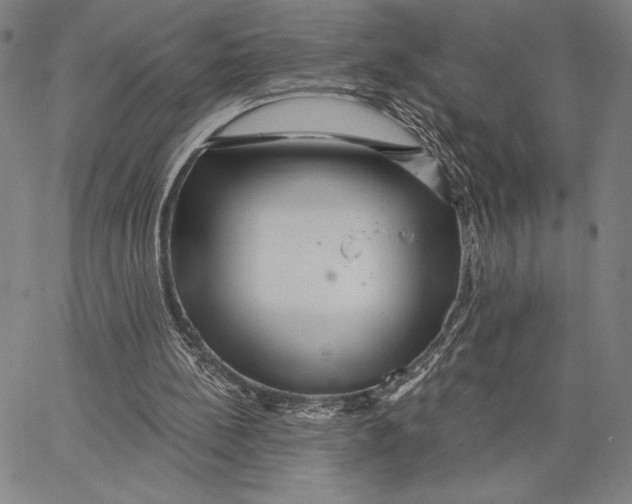 X0000066530148200604071625