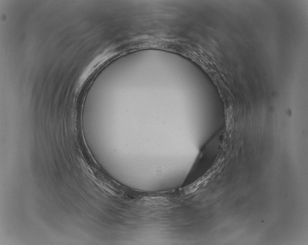 X0000066530150200604071625