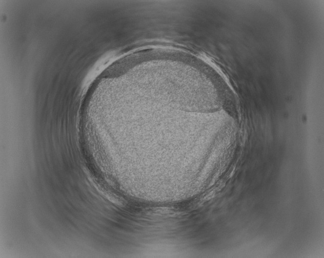 X0000066530151200604071625