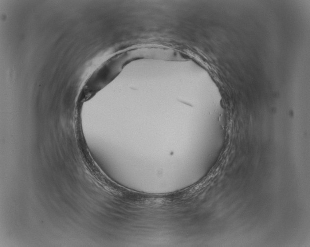 X0000066530152200604071625