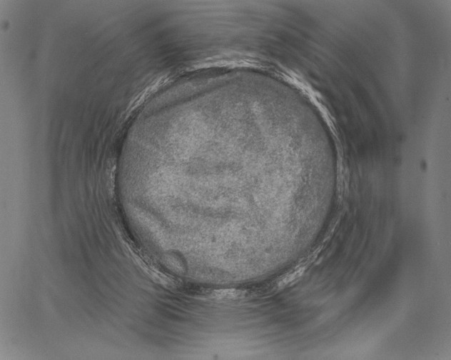 X0000066530153200604071625